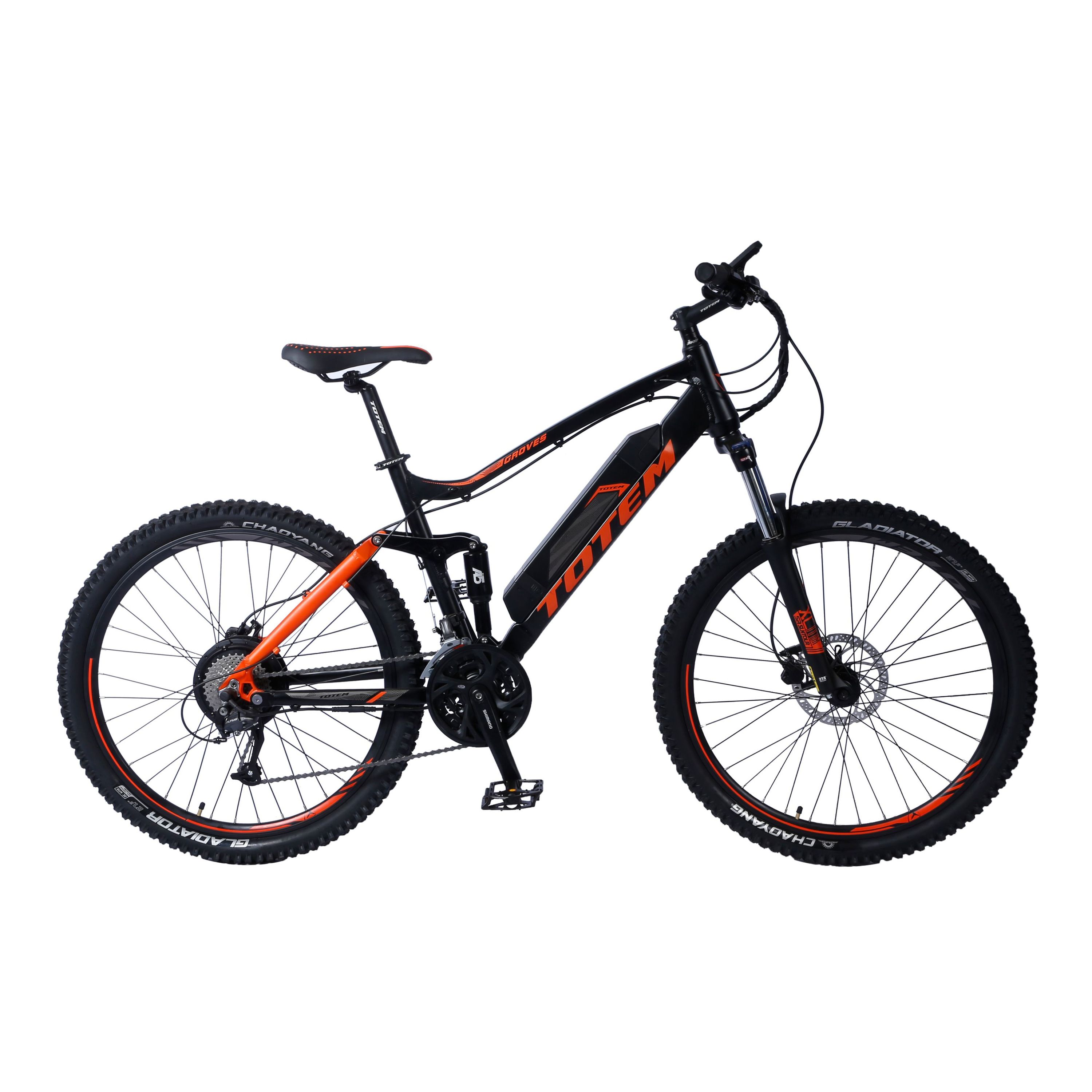 E-bike rental Saas-Fee 